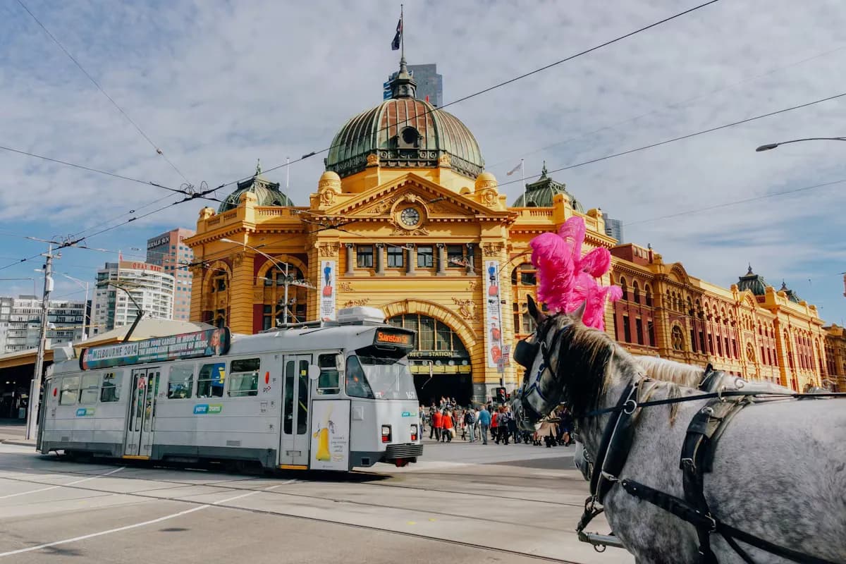 Transfers in Melbourne